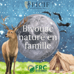 carton invitation bivouac (2)
